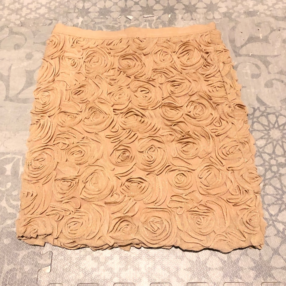 [Banana Republic] Blush Pink Rosette Glitter Skirt